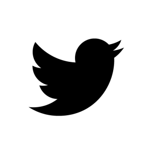 twitter logo